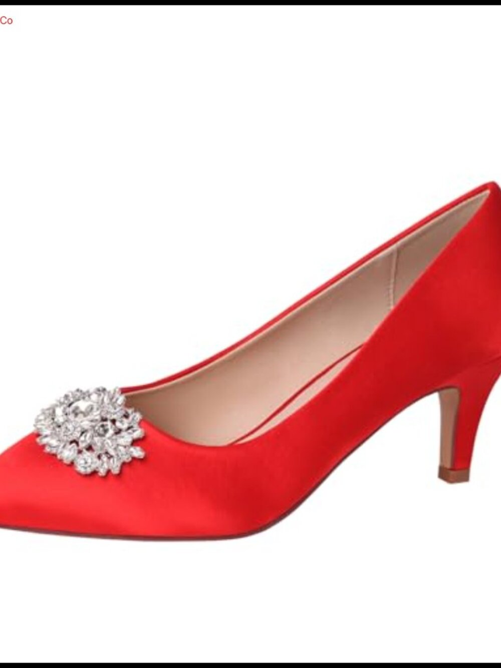 Women Kitten Heel Lace Satin Pumps Pointy Toe Brooch Formal Evening Shoes